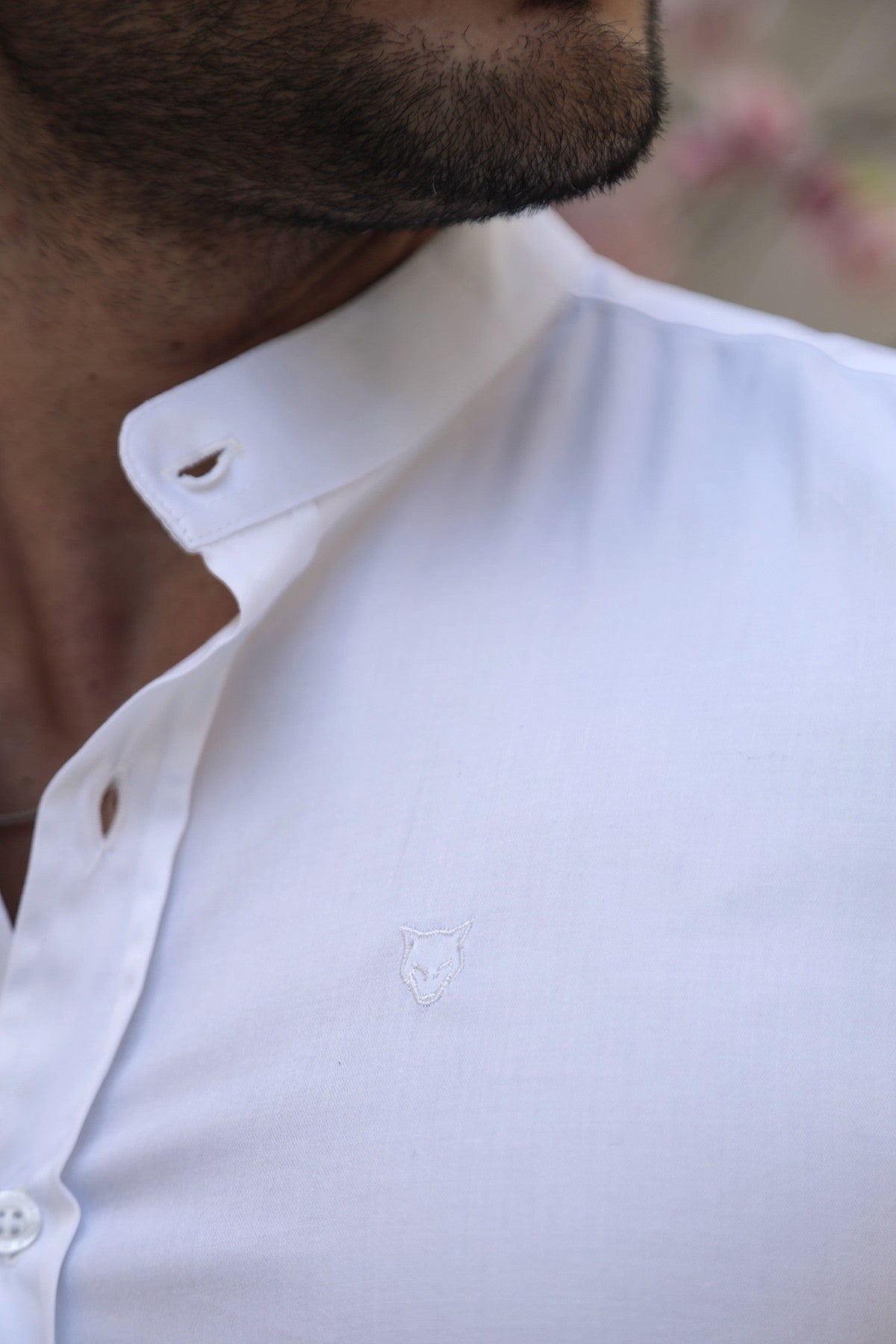 Camisa Manga Curta Social Gola Padre Branca Algodão Egípcio